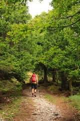 O352-td-160915-15164