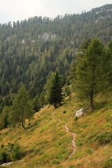 O352-td-160915-15168