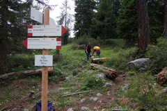 O352B-ldp004-00-d2-170810