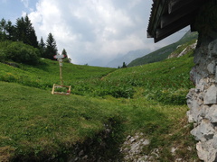 O353-ldp002-00-p2-td-1506125