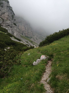 O353-ldp003-00-p1-td-1506126