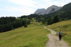 O354-Movlina-2016-td-72