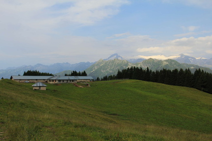 O354-Movlina-2016-td-74