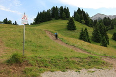 O354-Movlina-2016-td-79