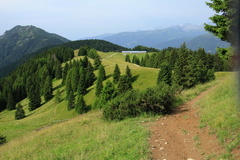 O354-Movlina-2016-td-87