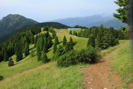 O354-Movlina-2016-td-87