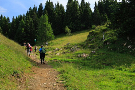 O354-Movlina-2016-td-88