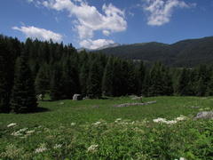 O355-08-160707-CC-Malga-Scale-1