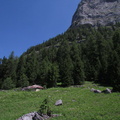 O355-20-160707-CC
