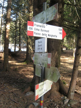 O356-ldp001-00-d01-140821-DR (41 visite) O356-ldp001-00-d01-140821-DR