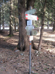 O356-ldp001-00-p2-140821-DR