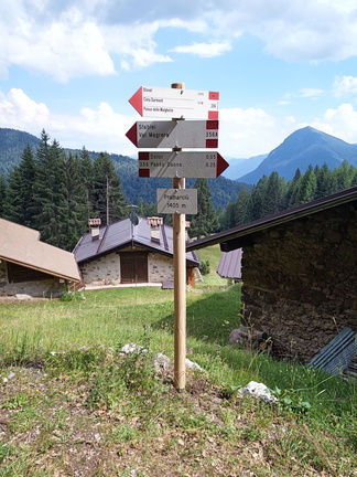 O356-ldp004-00-d3-220701-DR-