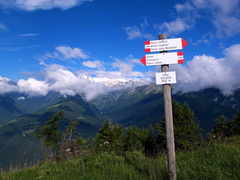 O356-ldp006-00-p2-150621