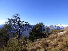 O356-ldp006-00-p4-141004-DR