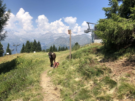 O357-ldp002-50-p01-220720-ED