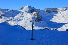 O360-ldp010-00-p1-161230-td-8455