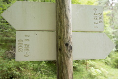 O362-ldp003-00-d3-170808-EL-1305