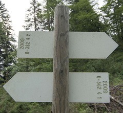 O362-ldp004-00-d2-170808-EL-1314