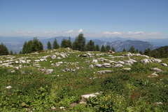 O362-110626-td-0218