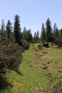 O363-110626-td-0151