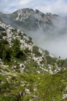 O363-170808-EL-1376