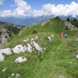 sentiero