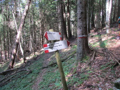 O365B-ldp001-00-d1-160804-CC