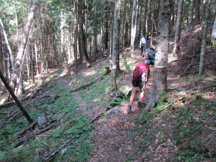 O365B-ldp001-00-p1-160804-CC