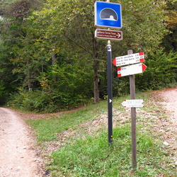005-00