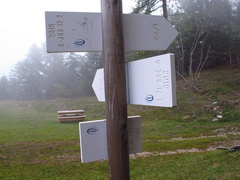 O368-ldp012-00-d2-161008-EG-0020