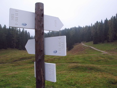 O368-ldp013-00-d3-161008-EG-0017