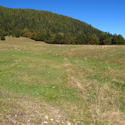 sentiero