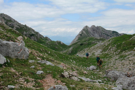 O369-160709-td-8456