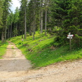 O370-ldp001-00-p1-td-160709
