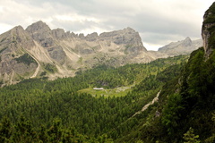 O370-Malga-Campa-01-160709-td