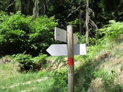 O373-007-00-d2-170627-BP