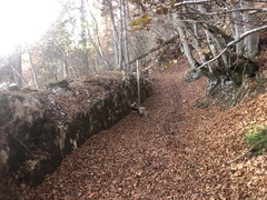 O373-ldp008-00-p01-231119-ED