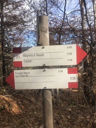 O373-ldp009-00-d01-231119-ED (54 visite) O373-ldp009-00-d01-231119-ED