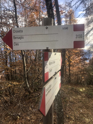 O373-ldp009-00-d03-231119-ED (63 visite) O373-ldp009-00-d03-231119-ED