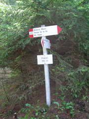 O374-ldp005-00-p01-060503-LB