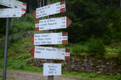 O374-ldp008-00-d01-190828-ED