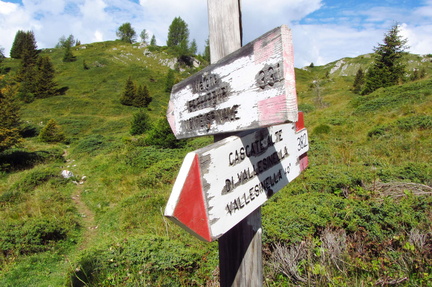 O382-ldp005-00-d2-160901-EG