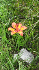 O382-160704-FB-9330