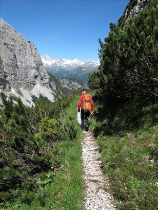 O391-140703-LB-7172 (71 visite) O391-140703-LB-7172