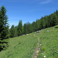 O391-140703-LB-7209