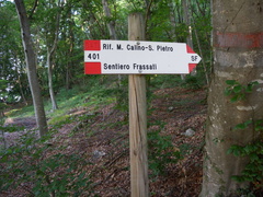 O401-ldp013-00-d1-GCP-160701-4580