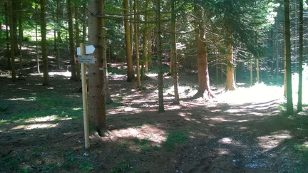 O401-ldp014-03-p02-170626-GCP