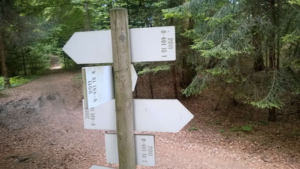 O401-ldp015-00-d02-170623-GCP