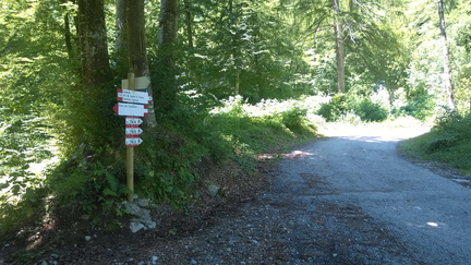 O401-ldp015-02-p01-170626-GCP