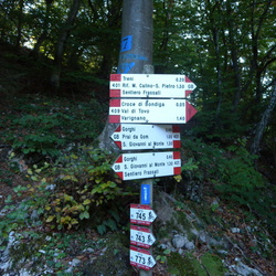 O401